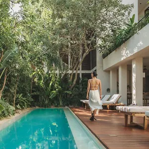 https://lucky-duck-dt.tulum-hotels.net